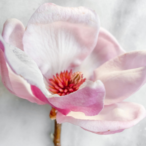 a_mehed_mindent_elraktaroz